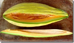 Banana Melon