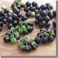 clip_image039