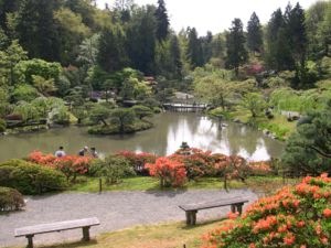 [300px-Seattle_Japanese_Garden[9].jpg]