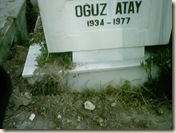 OA-P20 OA-P20