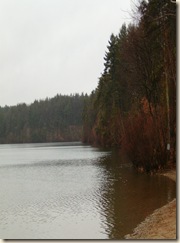 WaldenPondSpring WaldenPondSpring