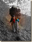 Karadeniz-0701 Karadeniz-0701