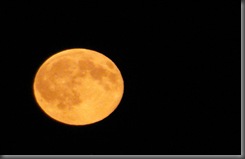Full_Orange_Moon_by_hpangel Full_Orange_Moon_by_hpangel