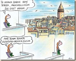 zpm35 zpm35