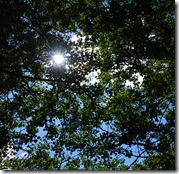 DSC_2106 DSC_2106