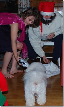 DSC_1268 DSC_1268