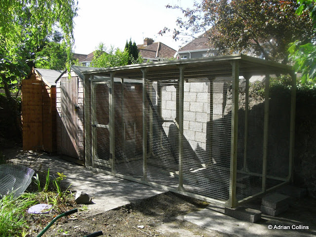 Chicken Pen