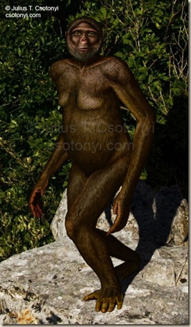 Ardipithecus_ramidus_Csotonyi