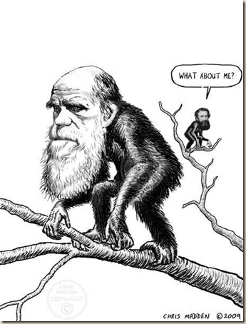 alfred russel wallace malay archipeligo