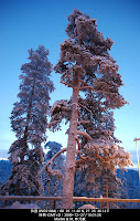 DSC_3556.jpg Photo