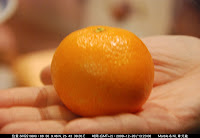 DSC_3762.jpg Photo