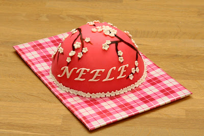 http://lh4.ggpht.com/_oC20CFLjKqE/S5I6b-NyIAI/AAAAAAAAAb0/Pq3OWbbeW_E/s400/_MG_4791.JPG