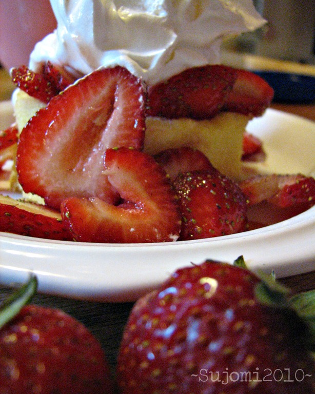 [2010 04 19 IMG_6070w[5].jpg]