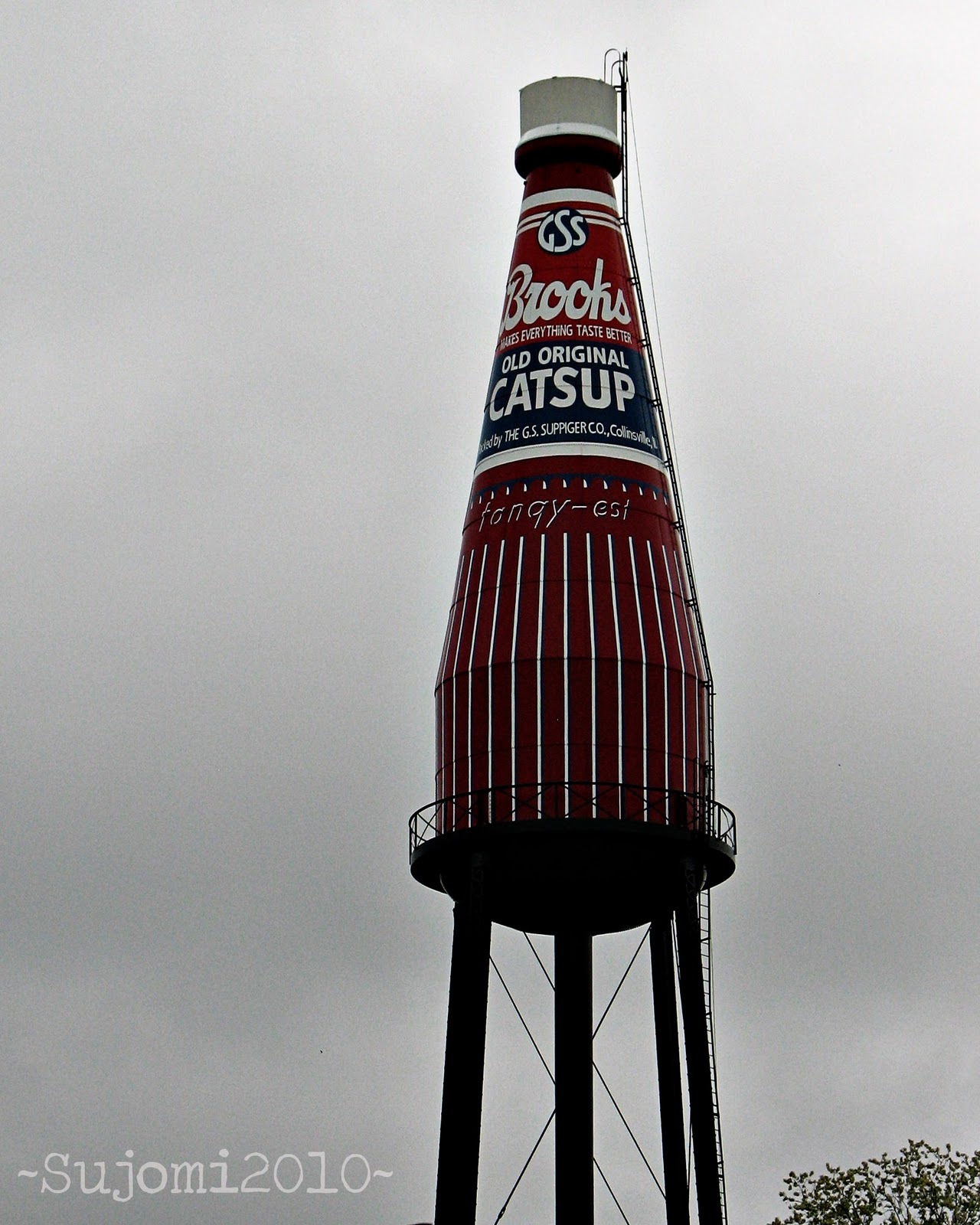 [2010 04 24 IMG_6252w[12].jpg]