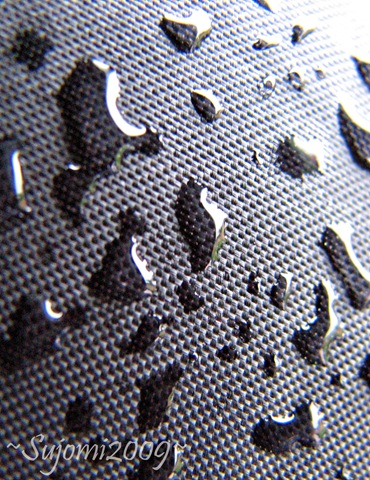 [20090503IMG_46704.jpg]