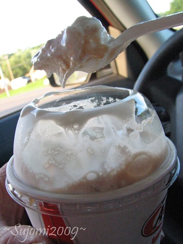 [2009 06 19 IMG_6475[4].jpg]