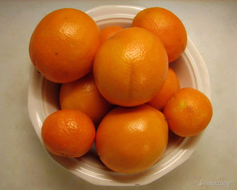[2009 12 12 IMG_2752[13].jpg]