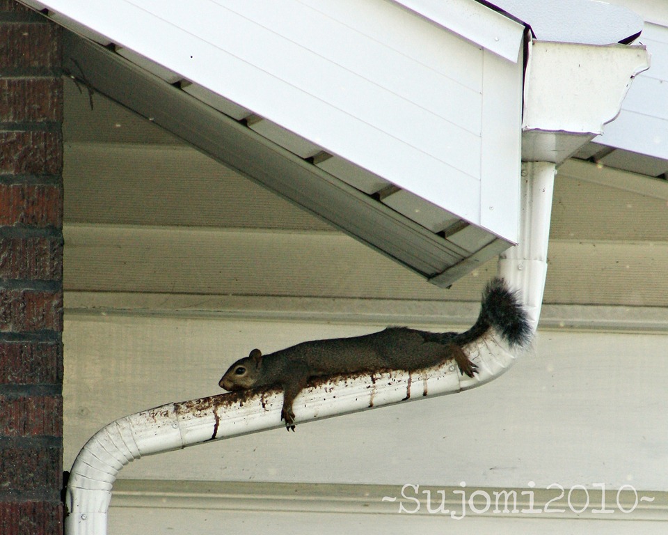 [2010 09 20 IMG_3524cw[5].jpg]