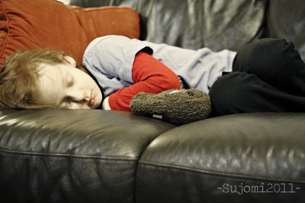 [2011 03 06 _MG_9697w[5].jpg]