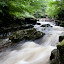 Porth Yr Ogof- 250709- 0216