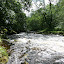 Porth Yr Ogof- 250709- 0075