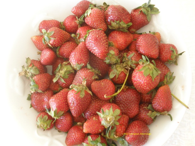 [Strawberries bowl[6].jpg]