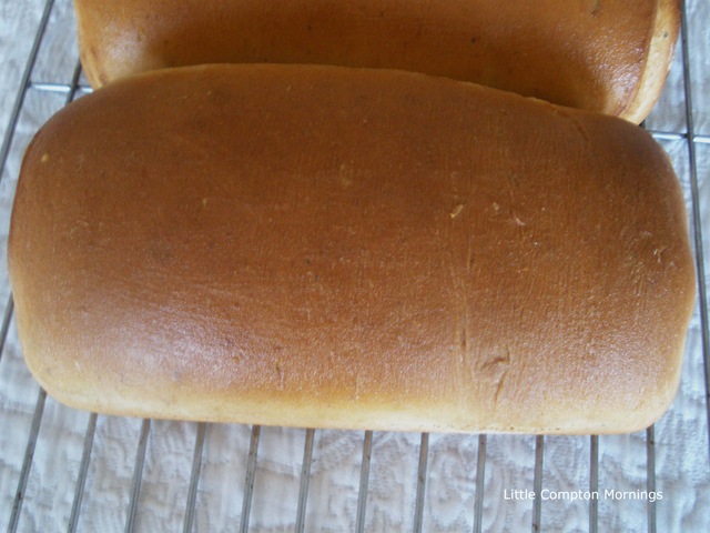 [Cinnamon Bread Baked 2[2].jpg]