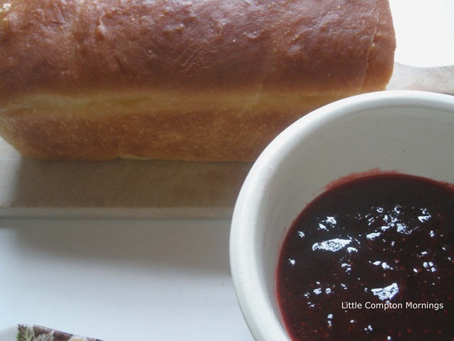 [White bread and strawb jam copy[7].jpg]