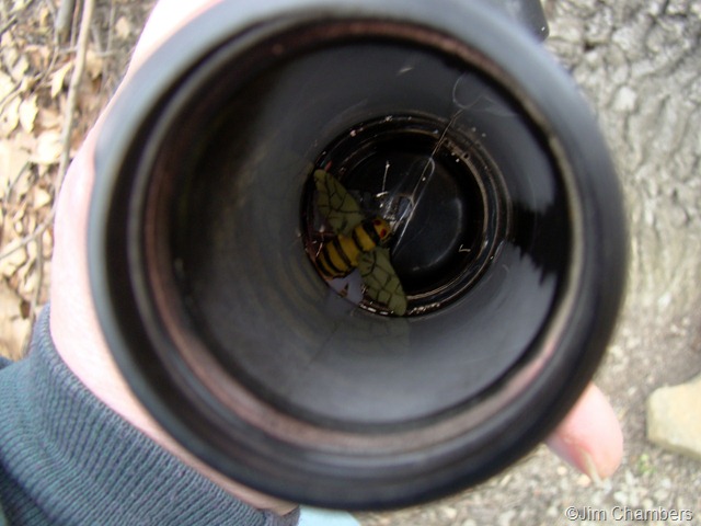 [DSC03319[7].jpg]