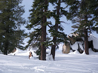 IMGP2484.JPG Photo