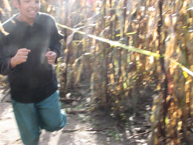 [Scholz Pumpkin Farm 032.jpg]