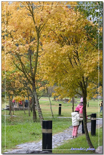 http://lh4.ggpht.com/_oHZKS5XSNYs/SWawgPDhA-I/AAAAAAAAGoo/7sai3NTwD5g/s512/CRW_6850.jpg
