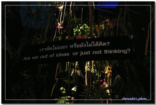 http://lh4.ggpht.com/_oHZKS5XSNYs/SfUo4uJAZ1I/AAAAAAAAH0s/IJNigAut6_0/s800/R0018513.jpg