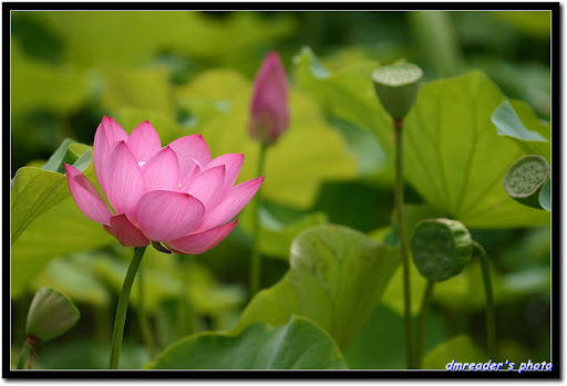 http://lh4.ggpht.com/_oHZKS5XSNYs/TA9KVD70N7I/AAAAAAAAJYU/x_KjxxUIqc4/CRW_1269_RJ.jpg