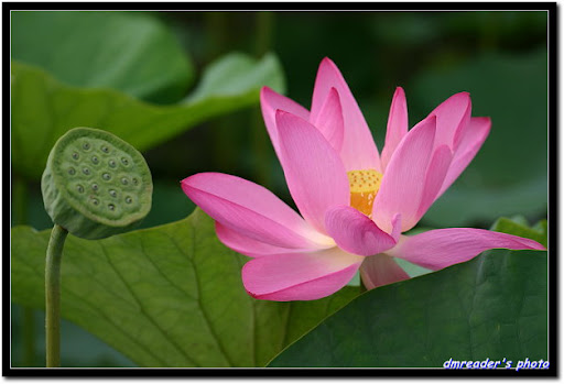 http://lh4.ggpht.com/_oHZKS5XSNYs/TA9KWSJ_FjI/AAAAAAAAJYg/dyDfeljJUMw/CRW_1300_RJ.jpg