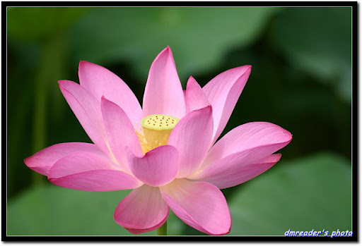 http://lh4.ggpht.com/_oHZKS5XSNYs/TA9KW_jFvZI/AAAAAAAAJYk/nNElCpwmJf0/CRW_1309_RJ.jpg