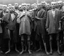 Великая Отечественная Война
