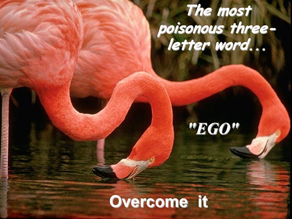 The most poisonous three-letter word - Ego - Overcome it