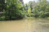 IMG_6334.JPG