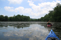IMG_6352.JPG