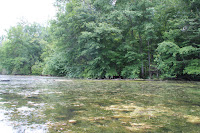 IMG_6356.JPG