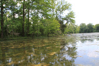 IMG_6359.JPG