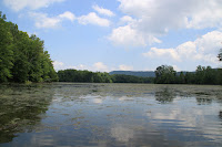 IMG_6375.JPG