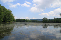 IMG_6376.JPG
