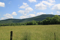 IMG_6447.JPG