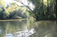 IMG_1829.JPG Photo