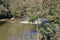 IMG_3085.JPG Photo