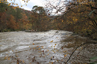 IMG_3538.JPG Photo