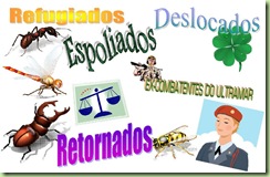 retorex retorex