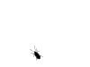 [barata[4].gif]